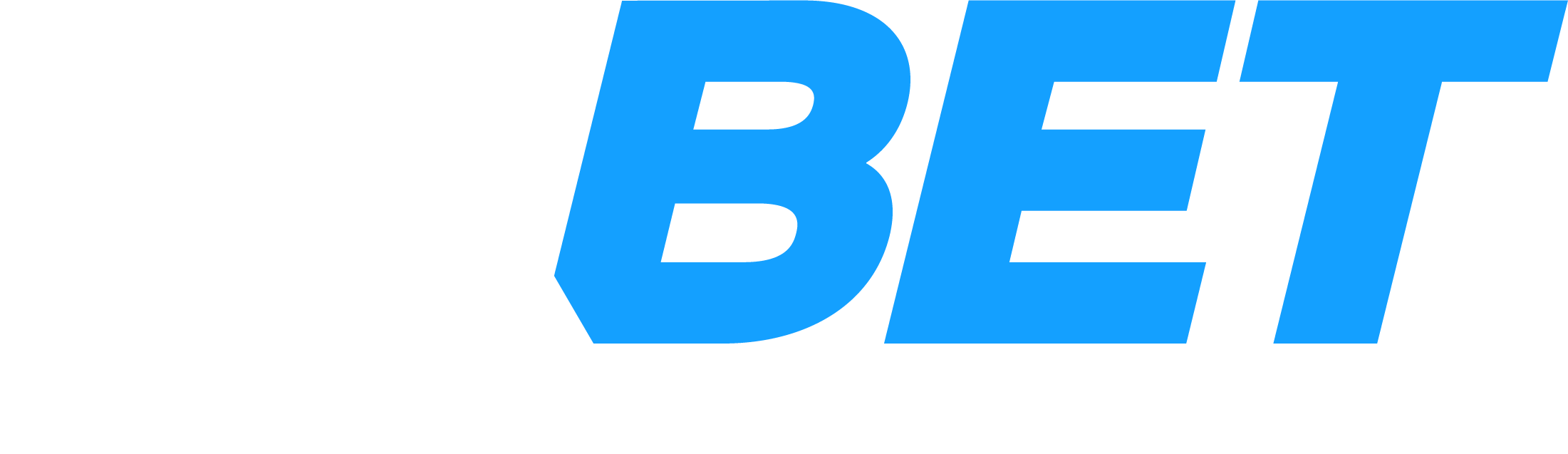 Logo nittotire.ru